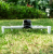 a331576dcd2c44e2c7baa724632bf8a0.png