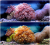 557df2ba470d79959f21ad209f5a70d4.png