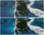 fcf1adcd3d2cbebc72600f2f60775d2d.png
