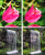 4344df1f1857aa140c5cf63ef7718e16.png