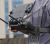 e2c382d9e86de68c663c02713a79ba53.png