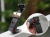 194ef4f20971a0e9a21e65de95b9c6f0.png