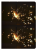 c9bb0e443b1ea0514dfdbdd397d5877a.png