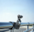 bf17a144313f661b3f32d4965b2bbc27.png