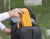 bf5c9c59fcffe7d073bf4bb80f239010.png