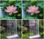 2aba160d10ca965da8bedcb15fae52c7.png