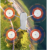 bb903a58f2575ad5891e53555798d280.png
