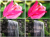 632ffd6f03a783e7c92257f766688641.png