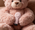 0512343c8f223376aa9b8b2002690c02.png