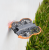 63ffc842e089748d23245ce1345bde84.png