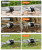 bb514226ee83d21b6b550187eb29e78b.png