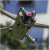 941afb0e23db80f186705d63c9470559.png