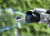 23ffb2c2fe61732cf7b832b9459c04a8.png