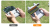 5363f13d1e5eae305bd634554aaec997.png
