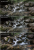 0c25d1905be152a60f74f06dd0fd2706.png