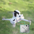 80cd591f460f5cf1816ba531dd0a5305.png