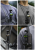 16d583e781ac5a5d884f693320ede28a.png