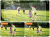 cb34977bf00f98b765bb5f5bc4d8260b.png