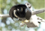 5840a6e5094969182c10e15cc50c439d.png