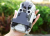 0f0cdd84416ca4aad42c3dcd0b5f43cf.png